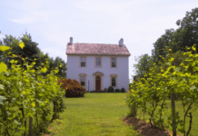 History of winemaking in Philadelphia