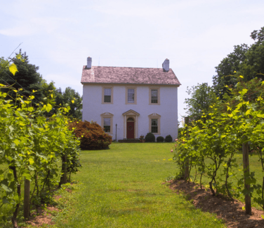 История виноделия в Филадельфии