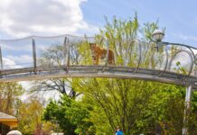 The history of the first zoo in the United States