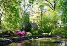 The undiscovered treasure of Philadelphia: James G. Kaskey Memorial Park, or the Bio Pond