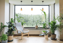 Life in Eco Style in Philadelphia