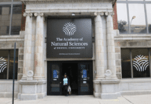 Что посмотреть в Академии естественных наук Университета Дрекселя?