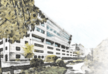 История Madrigal Pharmaceuticals и их разработки