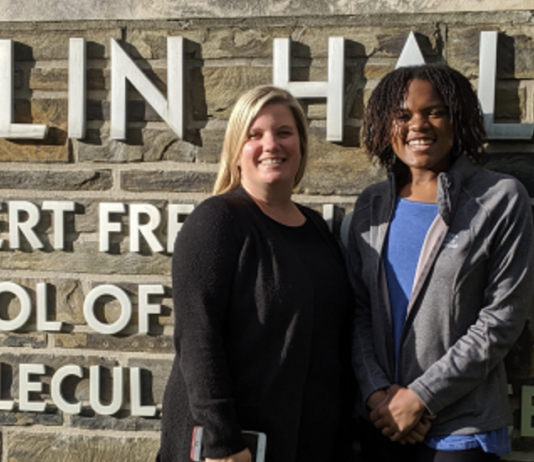 Susan Daniel and Her Research in Biomolecular Engineering