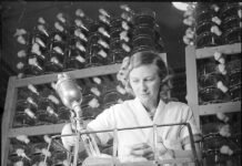 Пенициллиновое спасение: когда Филадельфия стала «аптекой мира»