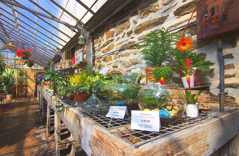 Rothe Florists & Flower Delivery